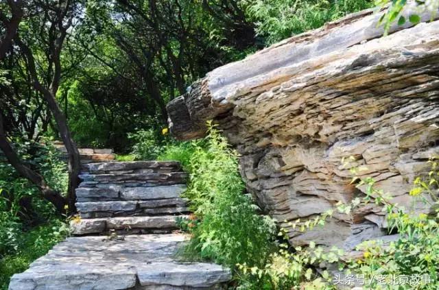 北京40个春游好去处!赏花、放风筝、爬山、烧烤……想怎么嗨都行!