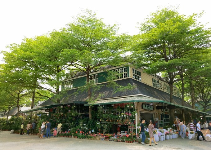 深圳东莞旅游景点推荐,东莞免费景点排名大全集