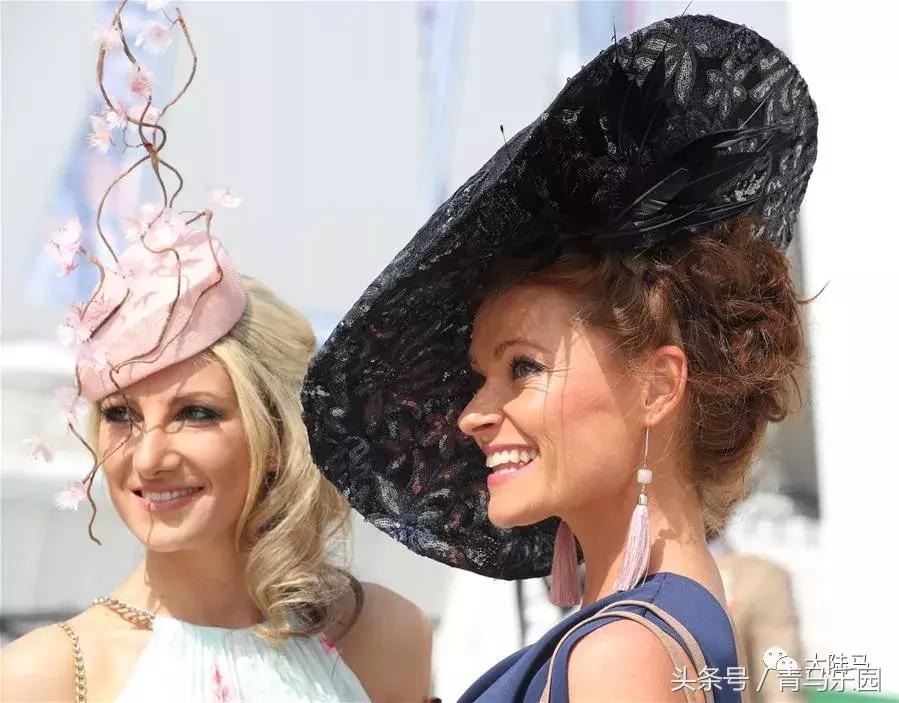 赛马节马的装扮,第27届迪拜赛马世界杯