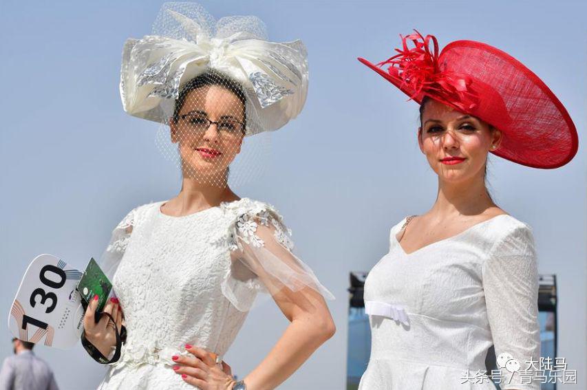 赛马节马的装扮,第27届迪拜赛马世界杯