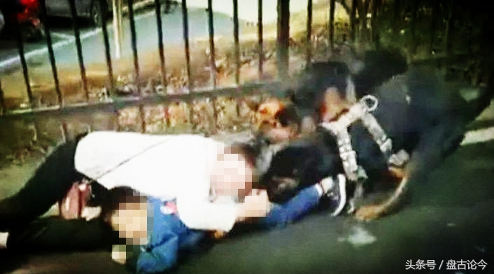 美国出现僵尸浣熊因温热病而起，而历史上的僵尸事件诱因都差不多