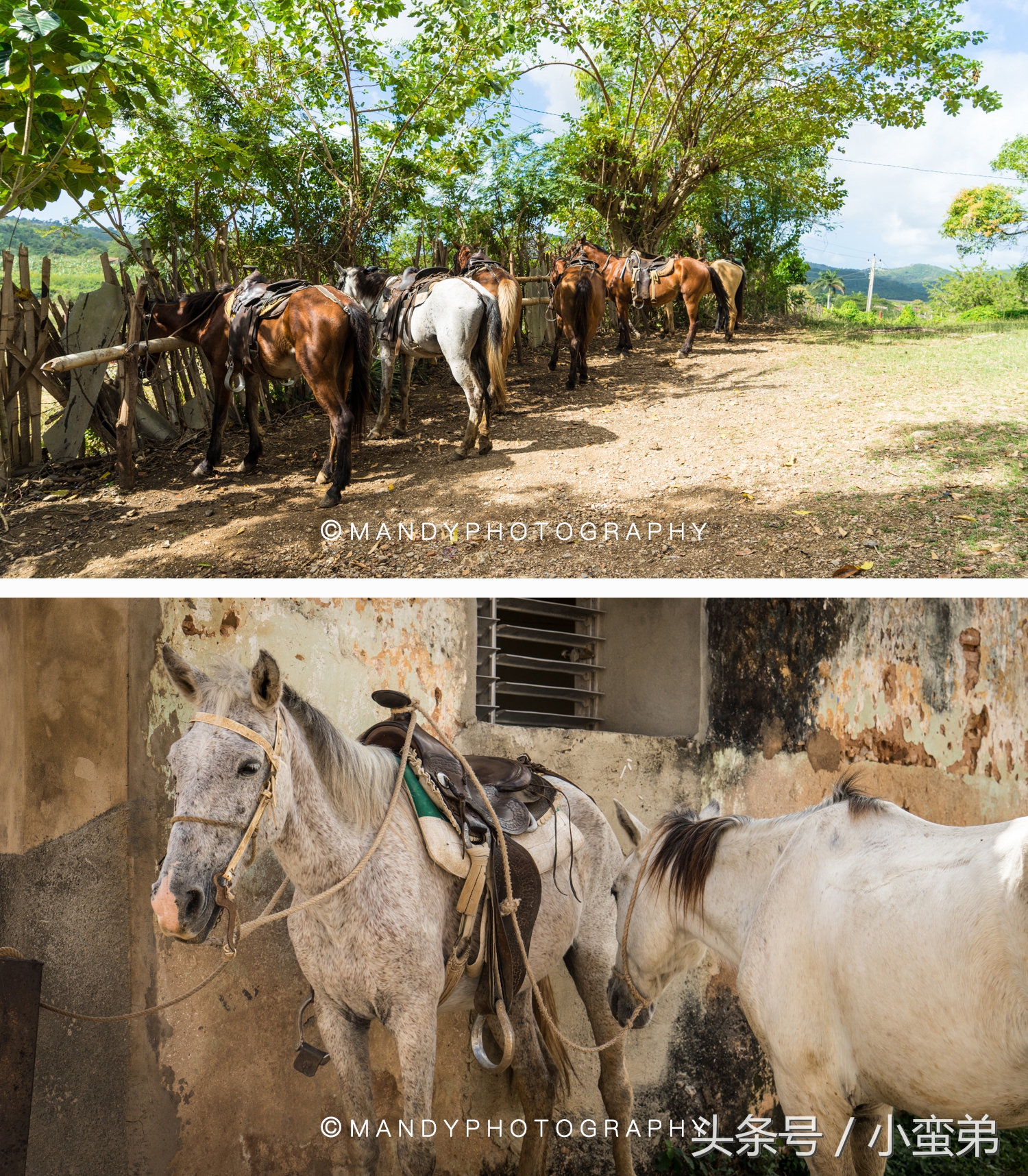 神秘的国度古巴,古巴自由行路线