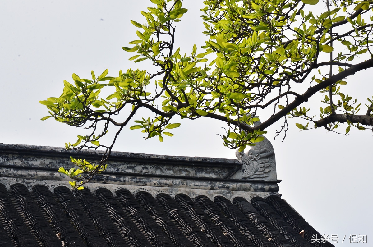 东林书院为什么叫东林,东林书院古诗