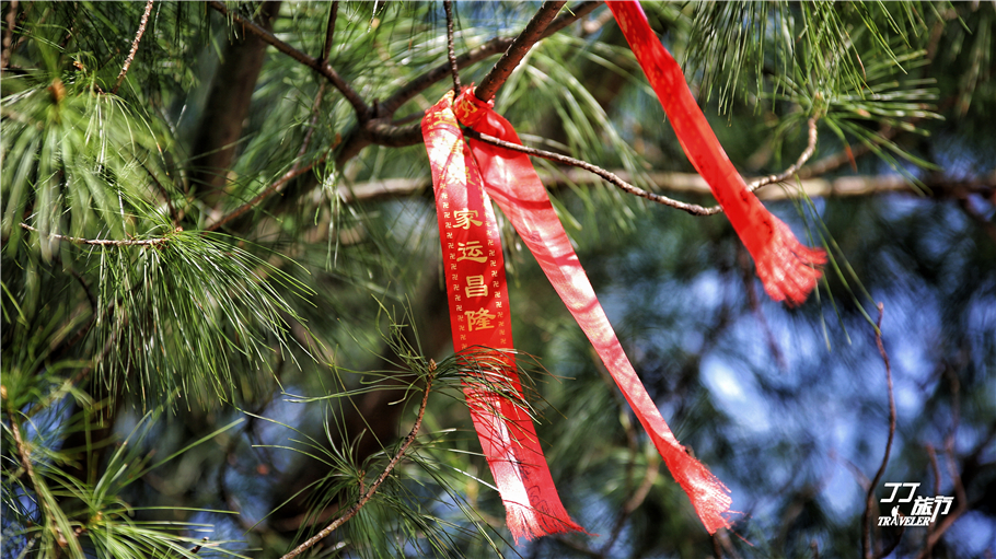苍山现在变成了这样，让我如何再风花雪月