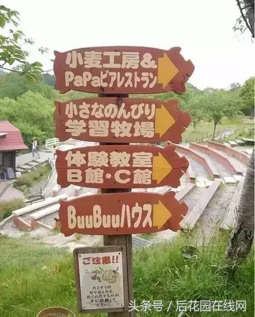 浅论日本文农旅产业超级IP智造系统！