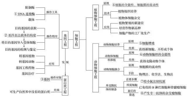 生物高考现代生物科技押题,高考生物核心概念考题