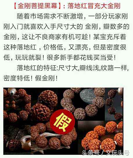 金刚和落地红最简单的辨认方法,落地红和金刚的区别图片欣赏