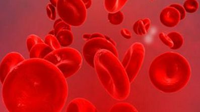 b型血的母猫生小猫怎么办,a型母猫和b型公猫会生出什么猫