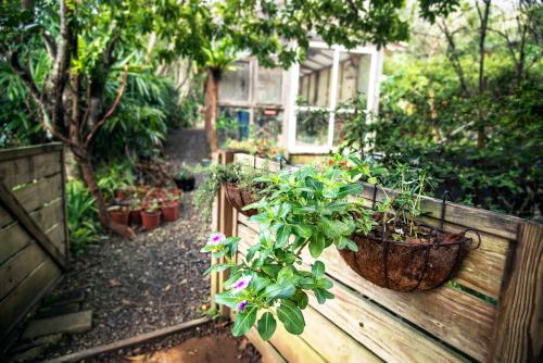 幸福满满的童年（三）