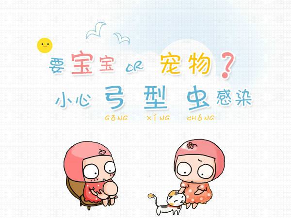 谣言粉碎机系列，怀孕养宠不会流产，不会畸形，更不会。。。