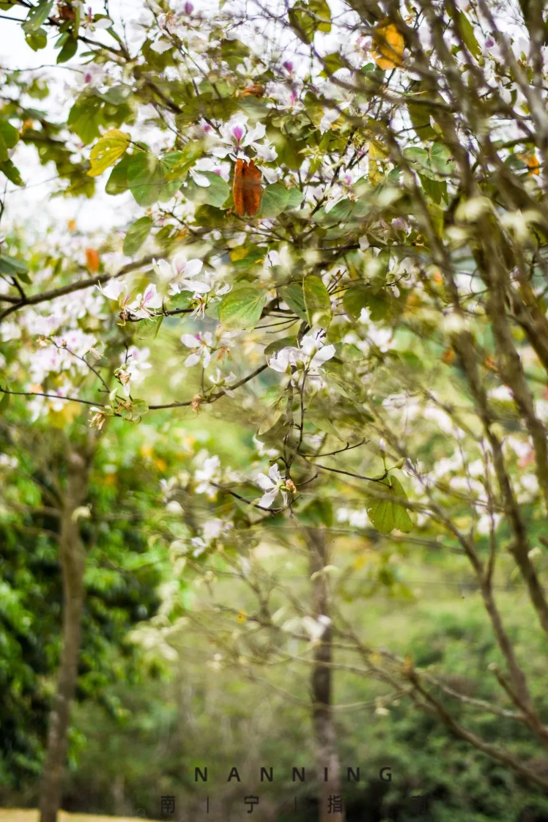 南宁户外体育公园,南宁体育健身公园