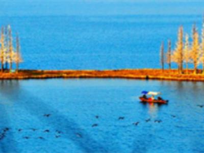 武汉外语外事职业学院什么样,武汉外语外事职业学院周围环境