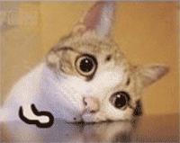 不知道买什么精华最好,哪一款精华好用