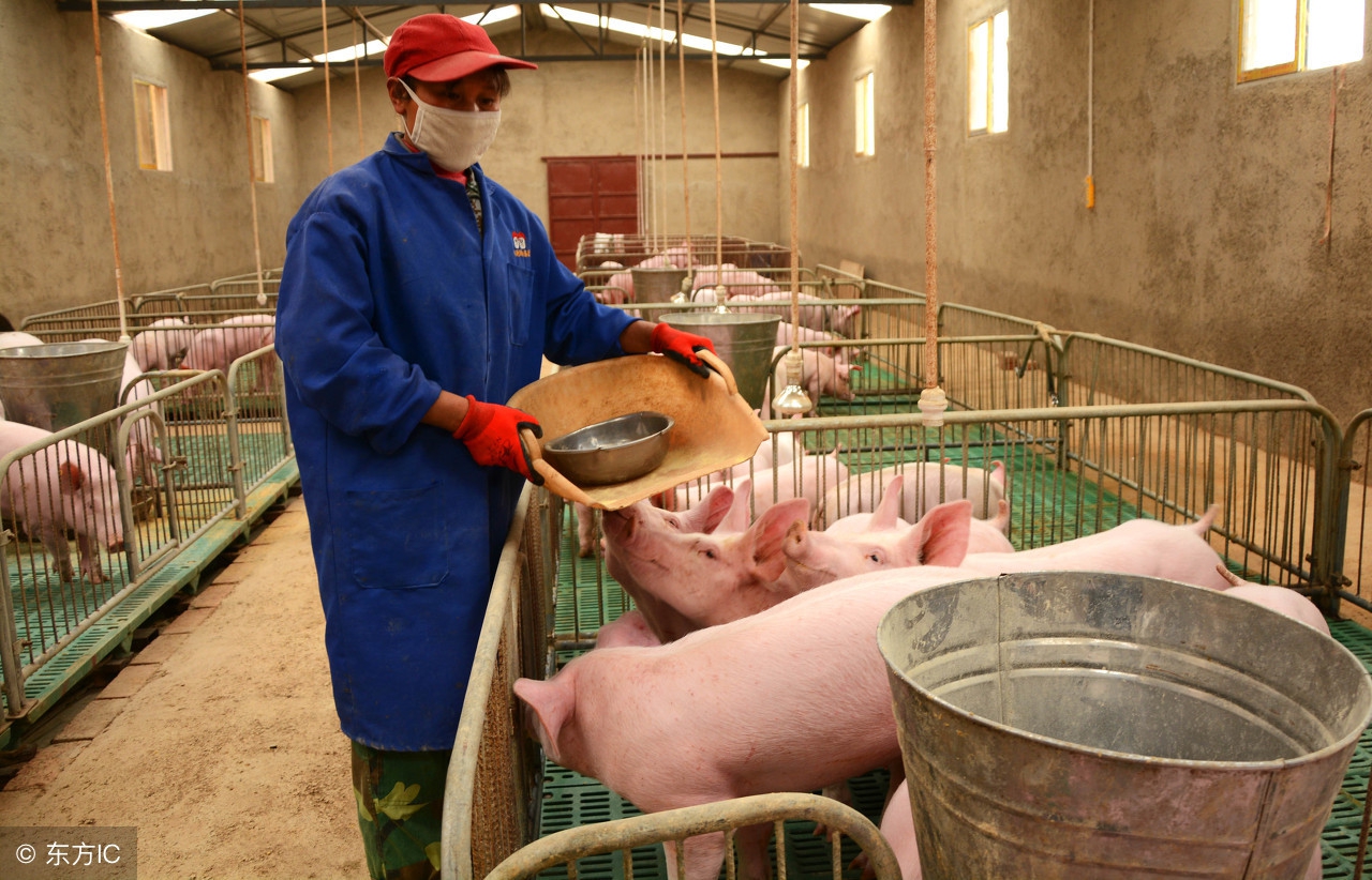 在农村干什么赚钱要投资少风险,在农村想做点小生意干什么最好