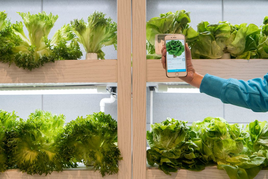 为国争光！美媒比较中国VS美国，自动化商店热潮中究竟哪国更强？