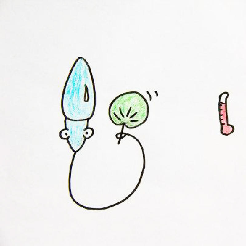 疑惑？没有遇到卵子的精子都去哪里了