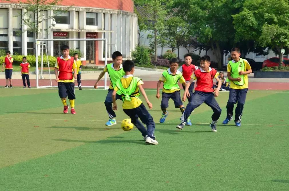 陶言|书是一种工具，看也是为着用，为着解决问题