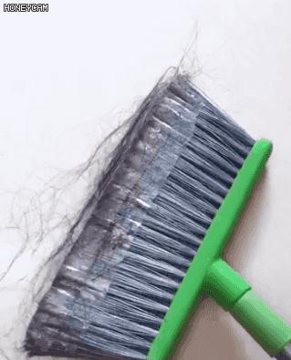 室内毛发清洁方法,家里地面毛发用什么方法去除