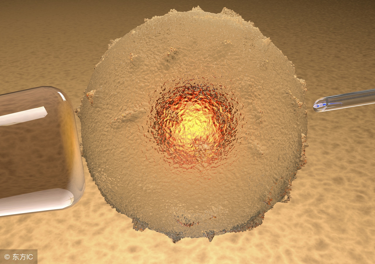 试管婴儿的全部流程图解大全,试管婴儿流程图解大全