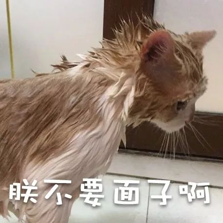 网易丁磊和网易严选,丁磊严选视频