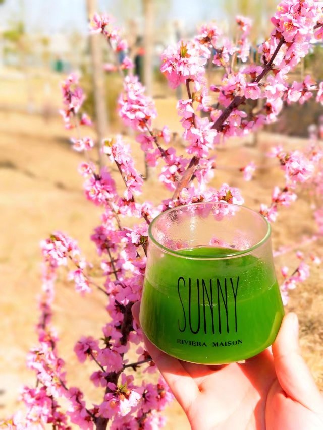 荡漾在春天的日子,荡漾在春的日子里绘本