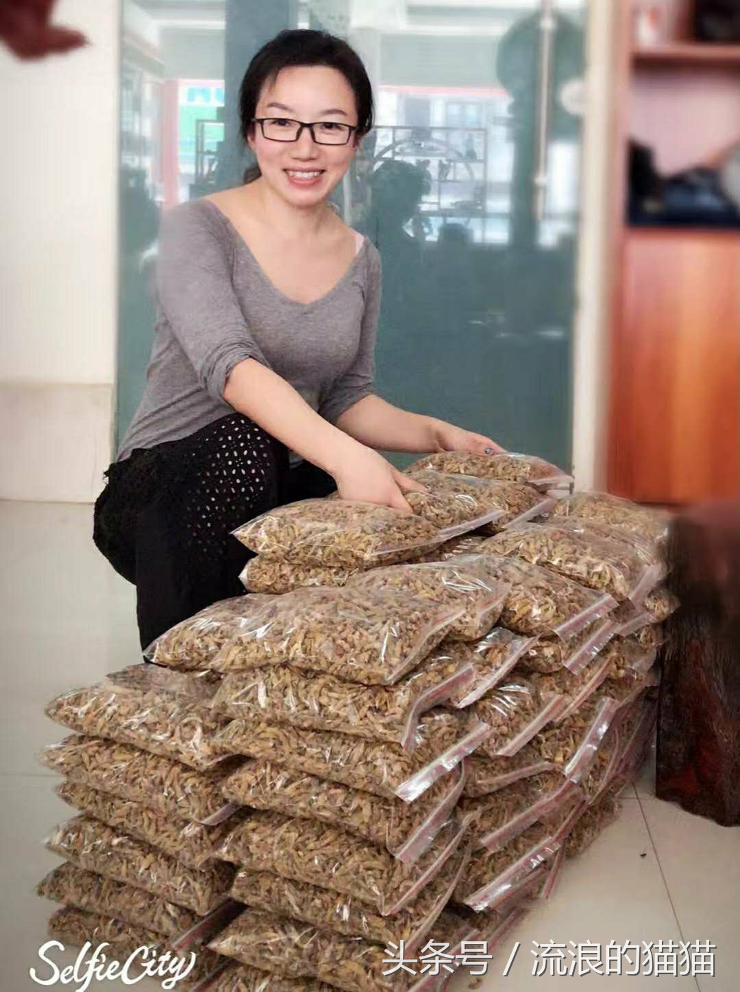 环游世界你最想干什么,环游世界后的现状