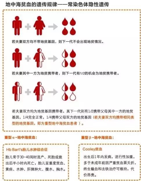 宝宝地中海贫血能治愈吗,宝宝有地中海贫血中间型会怎么样