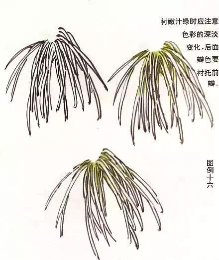 国画基础画菊花该如何构图才好看,国画菊花怎么画简单画法