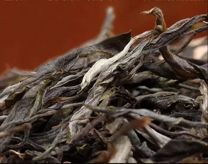 23年的普洱春茶怎么样,为什么普洱新茶这么便宜