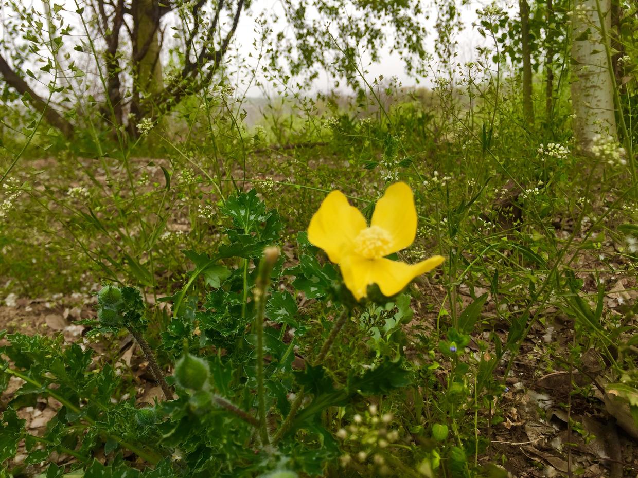 50岁改行职业规划,50岁改行能做什么