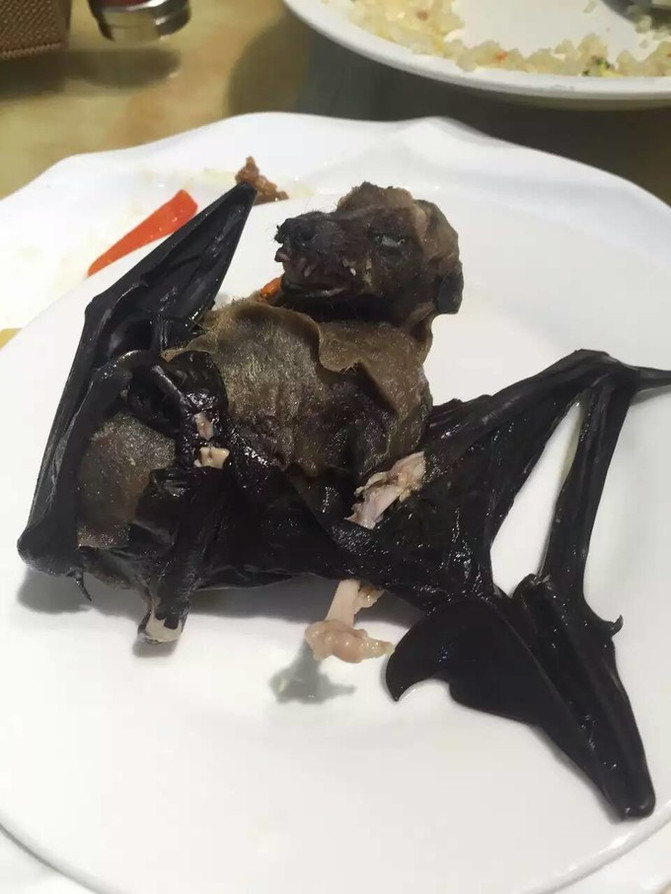 离开喧嚣的城市去野外生活三年,逃离都市喧嚣回归心灵栖居地