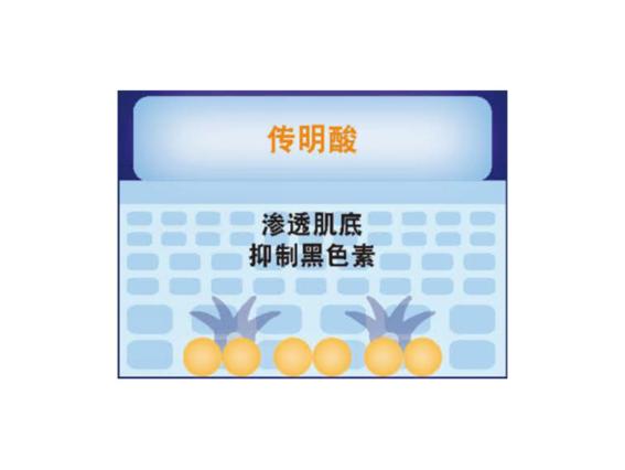 曼秀雷敦肌研白润美白面霜直播间,曼秀雷敦肌研美白效果怎么样