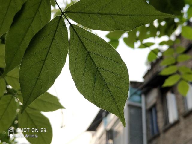 魅蓝e3是什么配置,魅蓝e3还能用吗