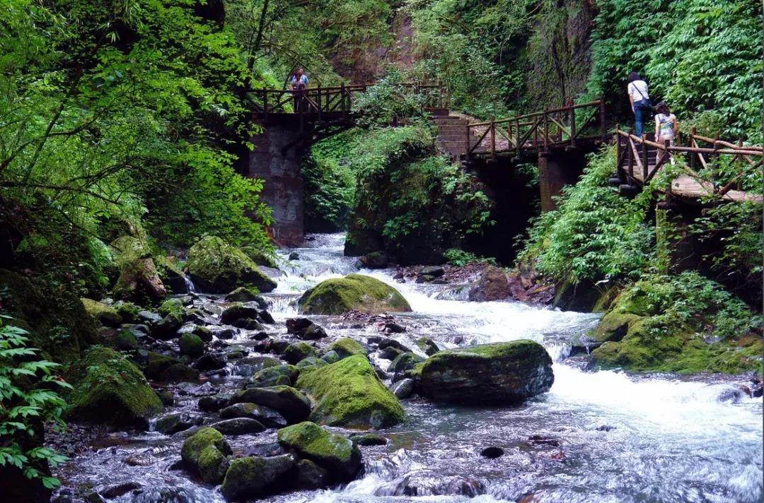 成都周边洗肺好去处,成都周边私藏的8个洗肺胜地