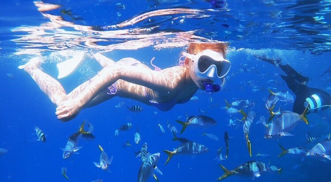 不需要做任何攻略就去的海岛国家!这样便可以玩转帕劳!