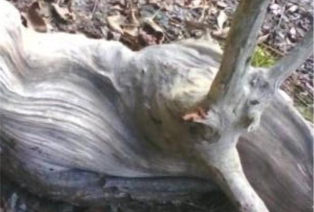 白手起家暴利小生意加盟,创业行业冷门但赚钱见效