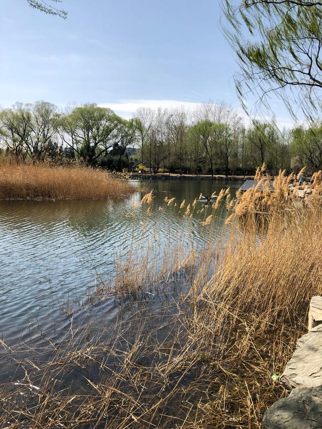 知者不惑意思,知者不惑的深度解析