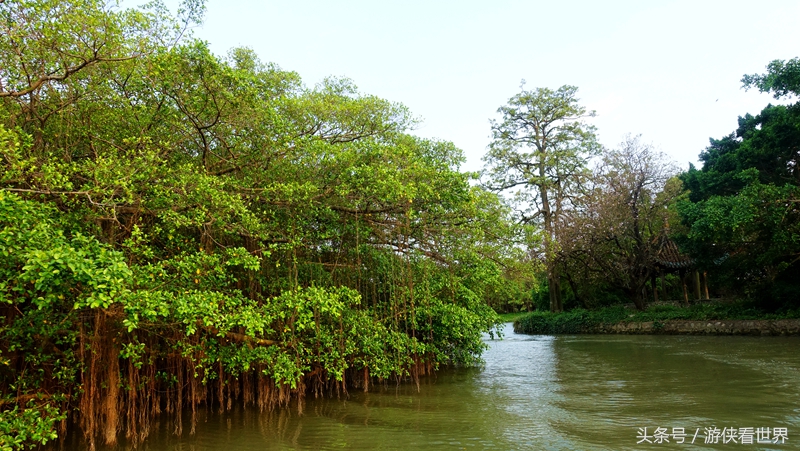 江门市台山东南亚风情村美食,江门市台山有哪些好吃好玩的地方