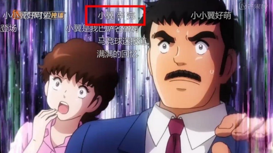 大空翼妈妈叫什么,足球小将大空翼的妈妈和罗伯特