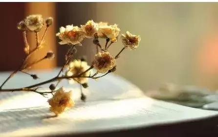 有一种深爱叫不再联系的歌曲,有一种深爱叫不联系却不打扰