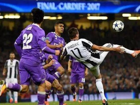 布冯亵渎神灵,布冯最大的遗憾是什么