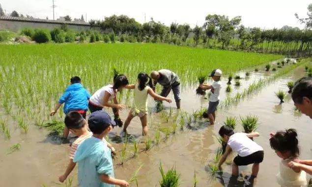 成都近郊的6家五星级农家乐,成都周边适合小朋友耍的农家乐