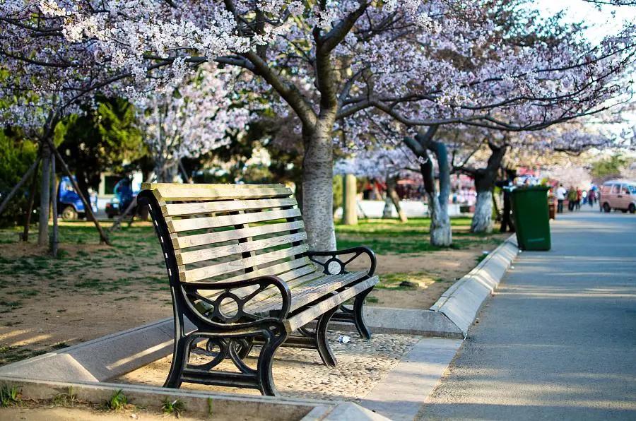 零元游青岛,100元在青岛怎么玩