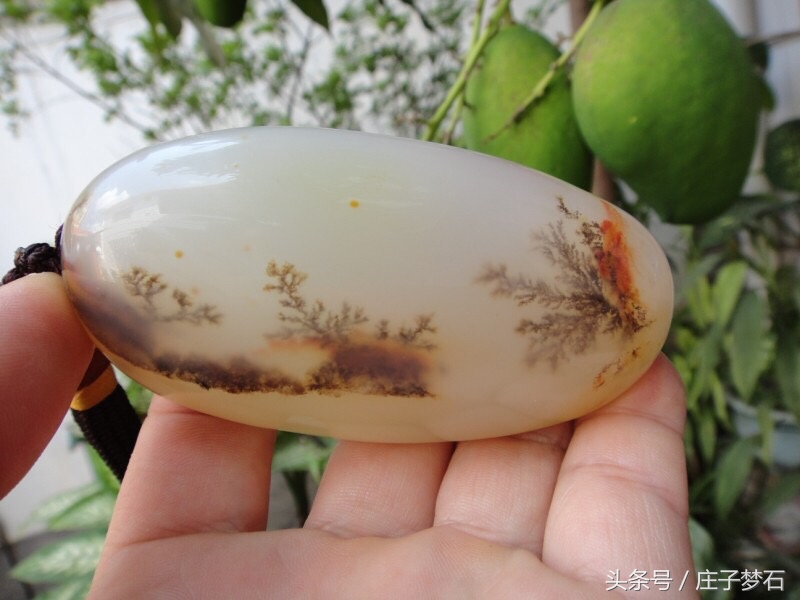 冰种黄龙玉带水草图片,黄龙玉水草花拍出天价