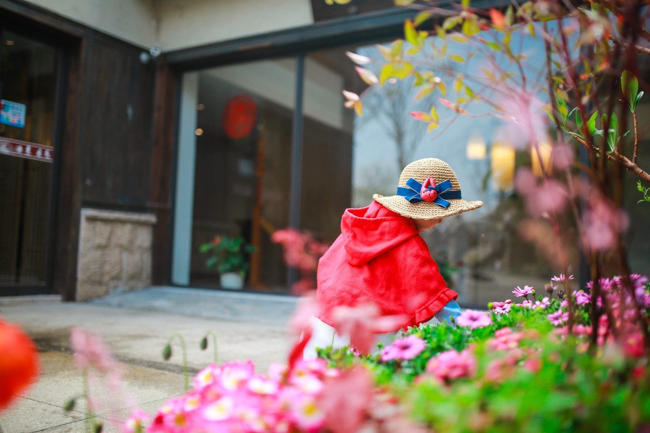 三月的拈花湾樱花烂漫,烟花三月桃花