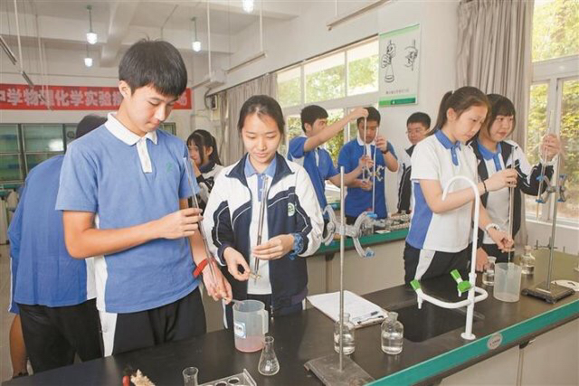 华侨城中学大鹏,华侨城中学简介