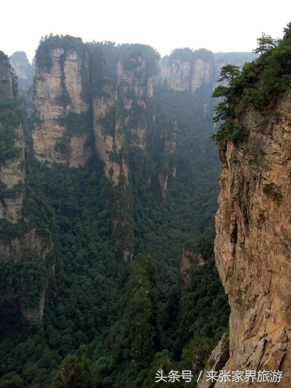 山东到张家界凤凰五日游攻略图文,佛山去张家界旅游攻略路线推荐图