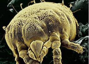 如何给爱座“洗澡”？