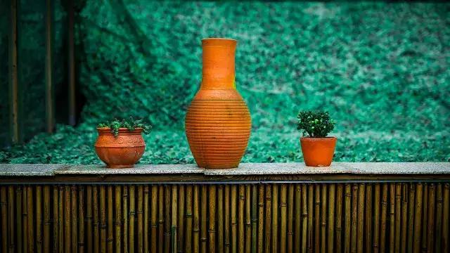 飞两千多公里,得到一座奇幻山林,一个温暖的家,一群有趣的人