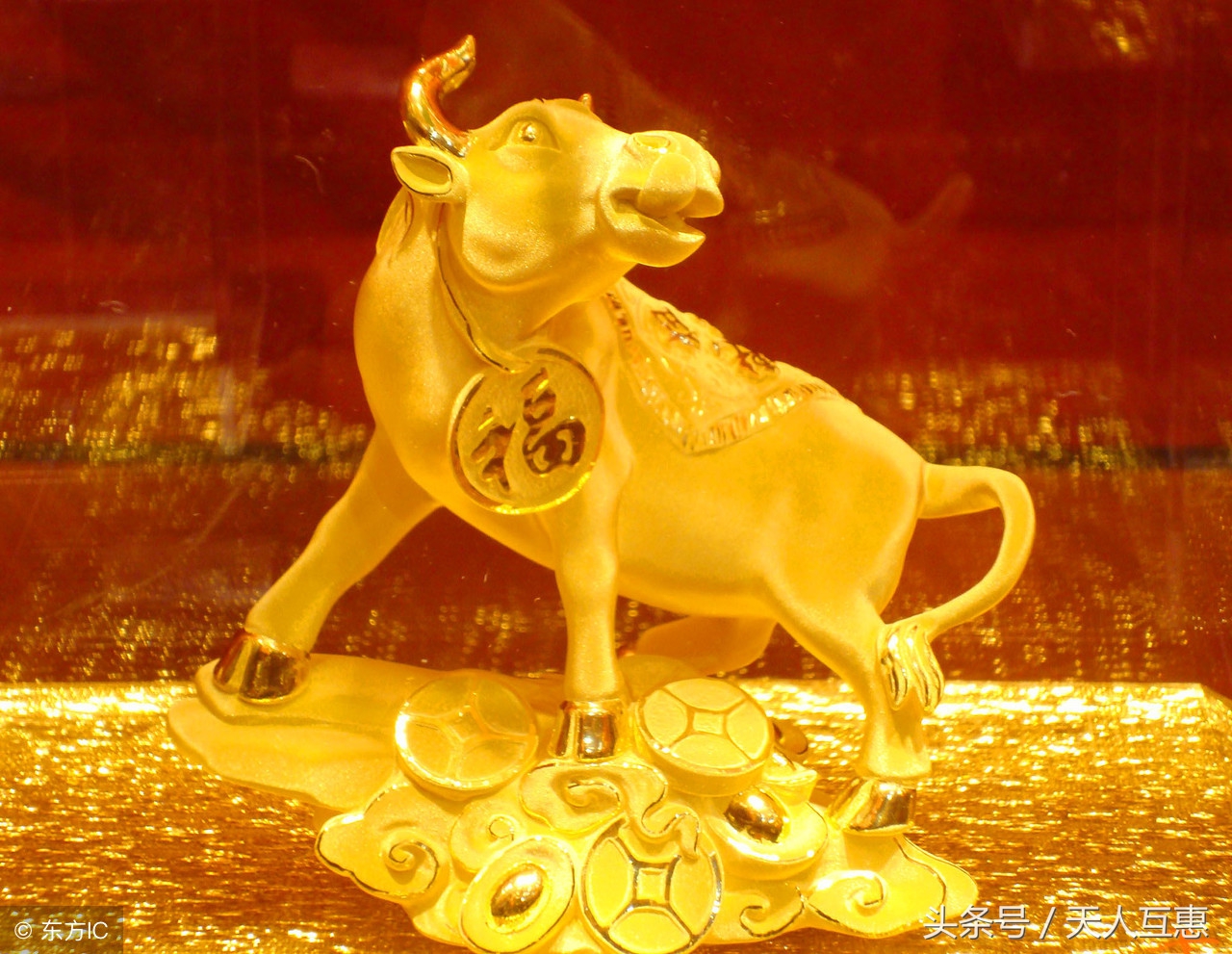 风水学十二生肖最佳布局,十二生肖之风水招财转运法